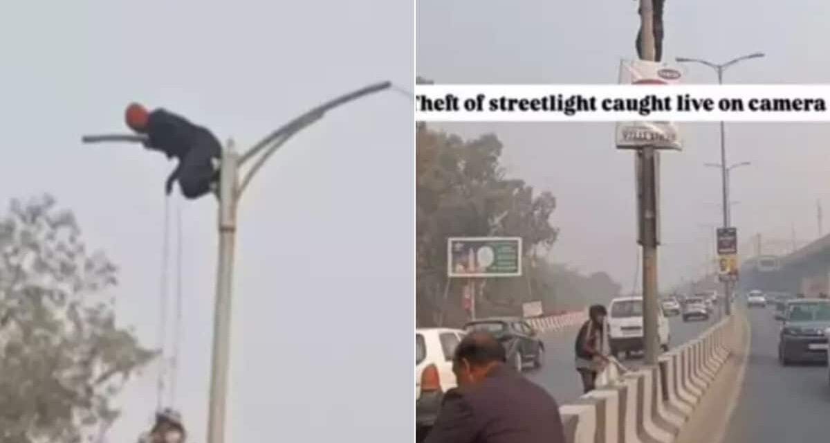 दिन के उजाले में खंभे पर चढ़कर हाईवे से लाइट चुराने की फिराक में था शख्स, तभी…