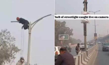 दिन के उजाले में खंभे पर चढ़कर हाईवे से लाइट चुराने की फिराक में था शख्स, तभी…