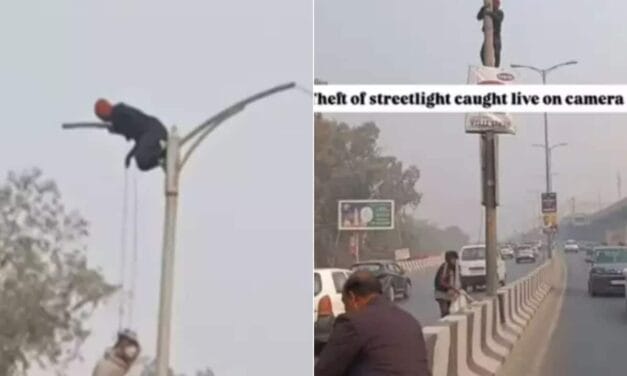 दिन के उजाले में खंभे पर चढ़कर हाईवे से लाइट चुराने की फिराक में था शख्स, तभी…
