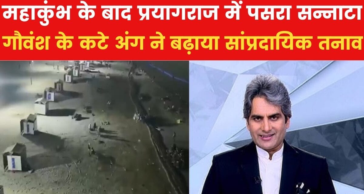 प्रयागराज में महाकुंभ समापन के 48 घंटे बाद गौवंश हत्या से फैला तनाव, पुलिस ने दर्ज की FIR
