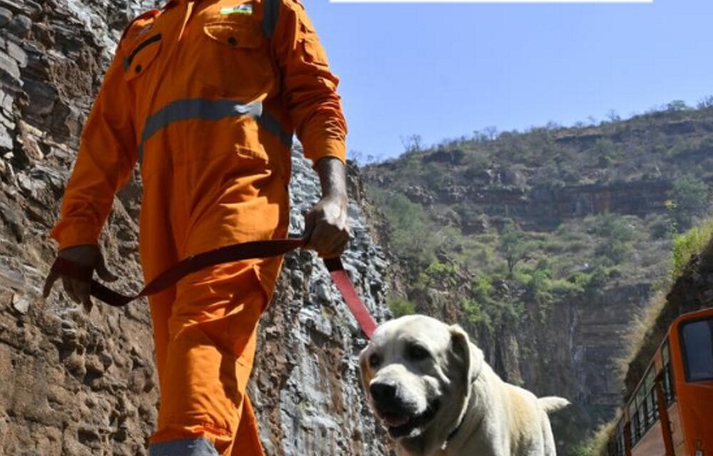 भास्कर अपडेट्स:तेलंगाना टनल हादसा, रेस्क्यू के लिए केरल से स्निफर डॉग भेजे गए; 13 दिन से 8 मजदूर फंसे