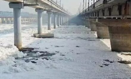 यमुना के पानी में ऑक्सीजन की मात्रा जीरो:23 साइट्स वाटर क्वालिटी टेस्ट में फेल; दिल्ली, UP और हरियाणा