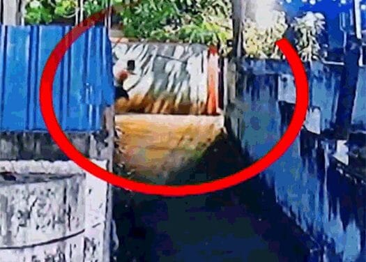 केरल में पूर्व प्रेमिका के भाई की चाकू मारकर हत्या:आरोपी ने ट्रेन से कटकर जान दी; लड़की ने नौकरी लग