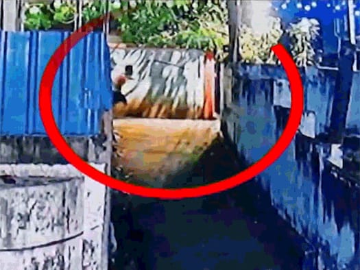 केरल में पूर्व प्रेमिका के भाई की चाकू मारकर हत्या:आरोपी ने ट्रेन से कटकर जान दी; लड़की ने नौकरी लग