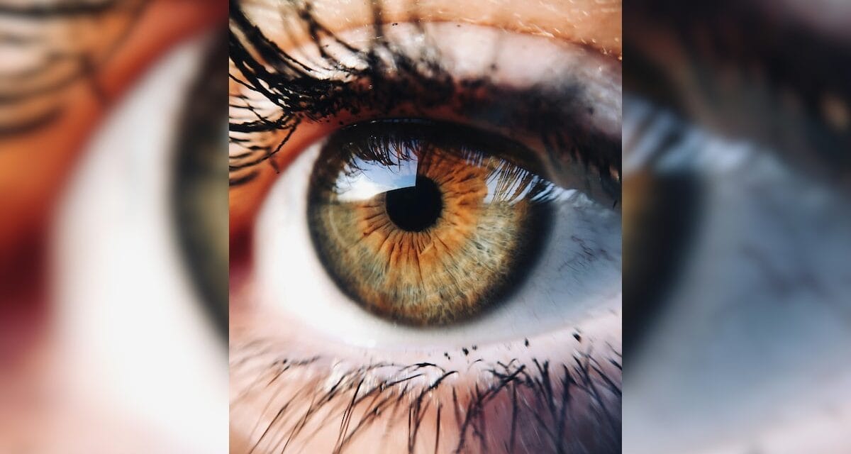 Exercise For Eyes: आंखों की रोशनी करना चाहते हैं तेज तो रोजाना 15 मिनट करें ये एक्सरसाइज, मसल्स भी होंगी स्ट्रॉ