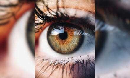 Exercise For Eyes: आंखों की रोशनी करना चाहते हैं तेज तो रोजाना 15 मिनट करें ये एक्सरसाइज, मसल्स भी होंगी स्ट्रॉ