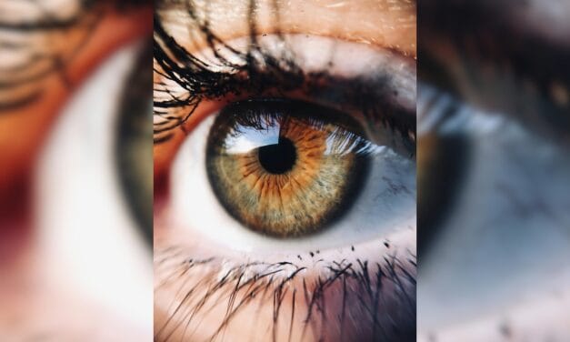 Exercise For Eyes: आंखों की रोशनी करना चाहते हैं तेज तो रोजाना 15 मिनट करें ये एक्सरसाइज, मसल्स भी होंगी स्ट्रॉ