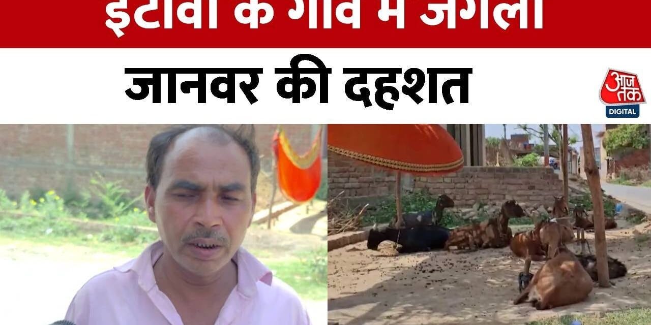 इटावा जिले के शीतलपुर गांव में लकड़बग्घे की दहशत, ग्रामीणों में फैला डर