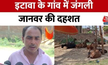 इटावा जिले के शीतलपुर गांव में लकड़बग्घे की दहशत, ग्रामीणों में फैला डर