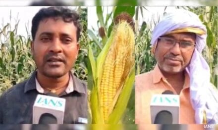 पीएम मोदी से प्रेरित होकर मोटे अनाजों की खेती कर रहे किसान, पहले से ज्यादा हो रहा मुनाफा 