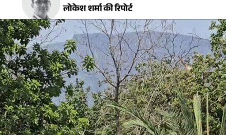 ‘ब्लैक फॉरेस्ट’ में LIVE एनकाउंटर के बीच पहुंचा दैनिक भास्कर:आधे घंटे तक फायरिंग हुई, गांव वाले बोले