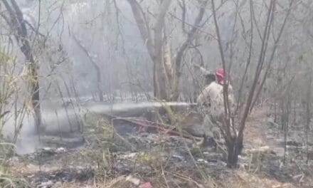 दिल्ली के रोहिणी में भीषण आग, दो बच्चों की मौत, 800 झुग्गियां जलकर हुईं खाक