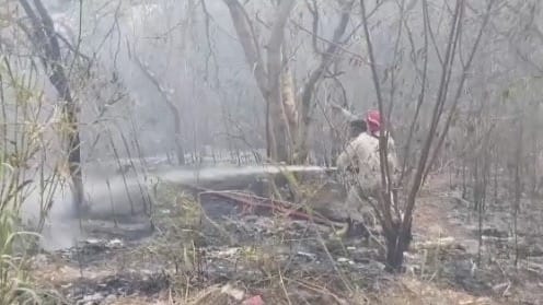 दिल्ली के रोहिणी में भीषण आग, दो बच्चों की मौत, 800 झुग्गियां जलकर हुईं खाक