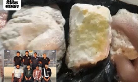 अहमदाबाद में व्हेल मछली की उल्टी बेचने वाले पकड़ाए:कचरा बीनने वाले को मिली थी 2904 ग्राम एम्बरग्रीस