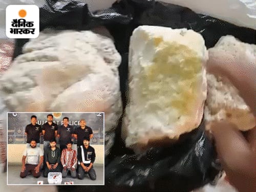 अहमदाबाद में व्हेल मछली की उल्टी बेचने वाले पकड़ाए:कचरा बीनने वाले को मिली थी 2904 ग्राम एम्बरग्रीस