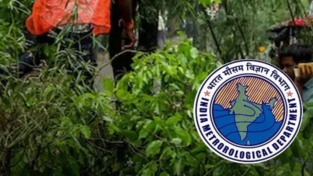 Delhi में तूफान-बारिश का सटीक अलर्ट देने में कैसे चूका IMD?