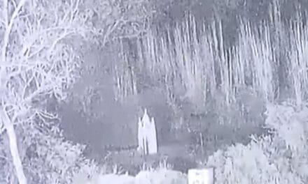 BSF ने 7 पाकिस्तानी आतंकियों को मार गिराया:S400-आकाश ने पाकिस्तानी ड्रोन्स को किया तबाह; जम्मू-कश्मीर म