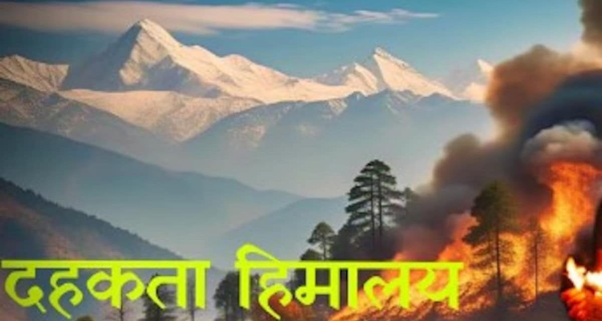 जंगलों में बढ़ती आग और इसका समाधान खोजती एक डॉक्यूमेंट्री, सरकार, समाज और संस्था मिलकर उठाए कदम
