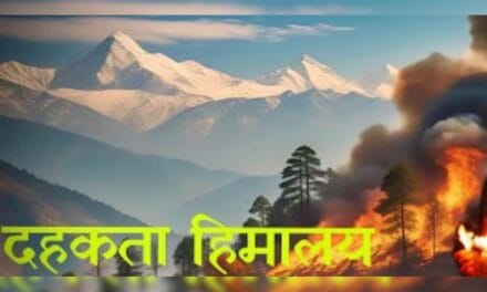 जंगलों में बढ़ती आग और इसका समाधान खोजती एक डॉक्यूमेंट्री, सरकार, समाज और संस्था मिलकर उठाए कदम