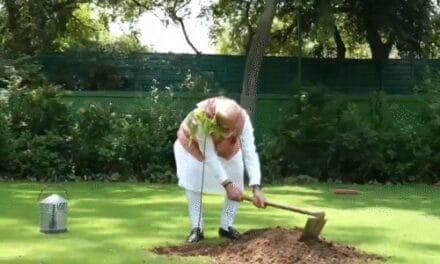 मोदी ने PM आवास में सिंदूर का पौधा लगाया:गुजरात दौरे पर 1971 के भारत-PAK युद्ध की वीरांगनाओं ने दिया था