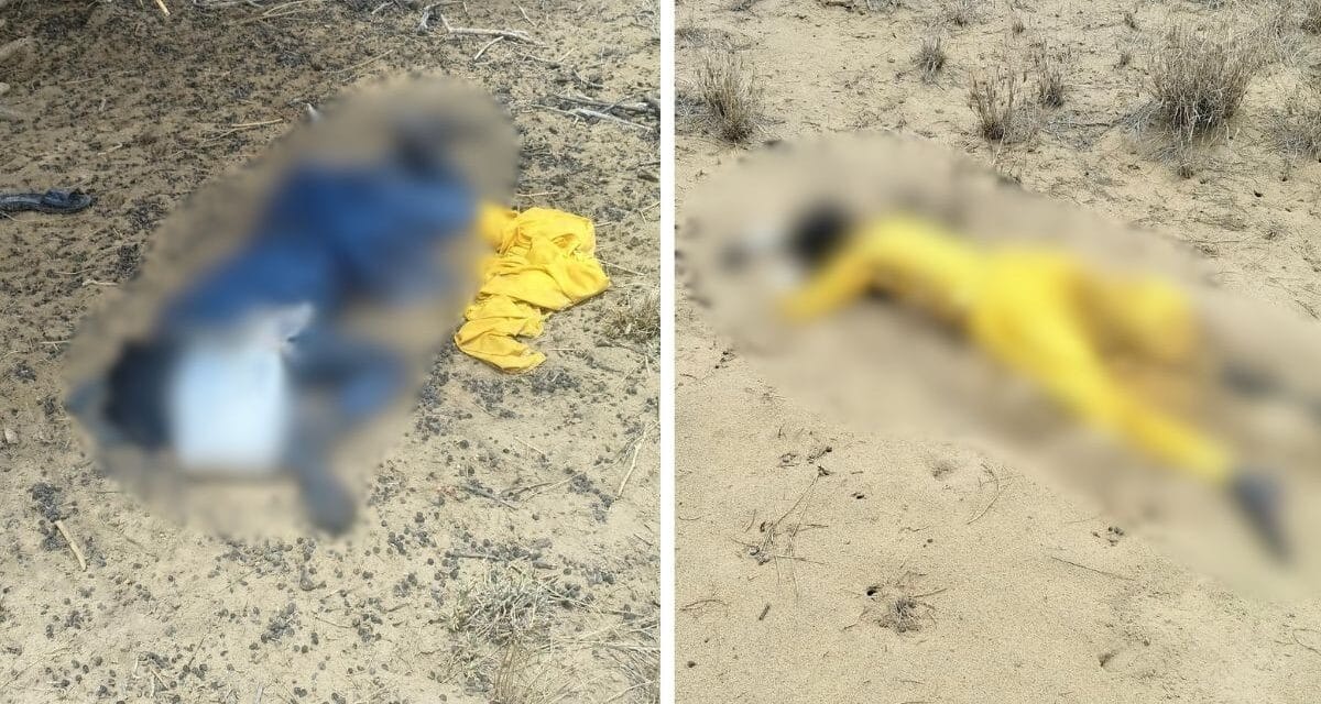 पाकिस्तानी लड़के-लड़की की लाशें जैसलमेर बॉर्डर के पास मिलीं, प्यास से मौत या लव स्टोरी का एंगल?