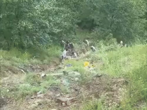 जम्मू में मिनी बस खाई में गिरी, 5 की मौत:17 गंभीर रूप से घायल, 22 लोग सवार थे; सड़क पर फिसलन की वजह से हादसा