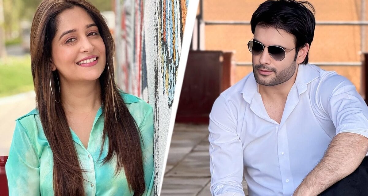 TV पर छाने को तैयार दीपिका कक्कड़, सालों बाद करेंगी कमबैक, विवियन संग बनेगी जोड़ी??