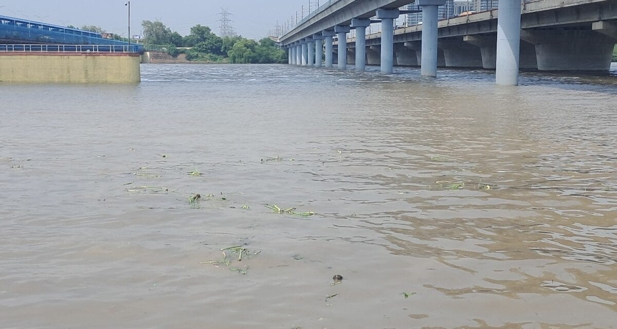 दिल्ली में बाढ़ का खतरा! हथिनीकुंड बैराज से यमुना में छोड़ा गया लाखों क्यूसेक पानी