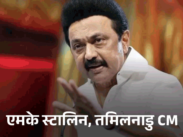 रिपोर्ट