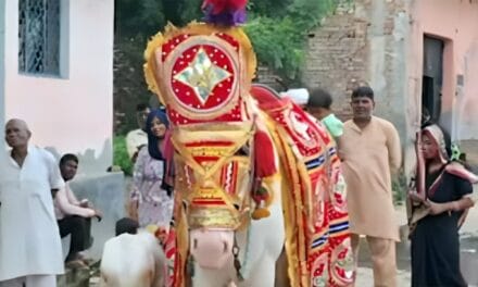 घोड़ी के कुआं पूजन का अजब नजारा, मनाया शादी जैसा जश्न, DJ पर जमकर हुआ डांस