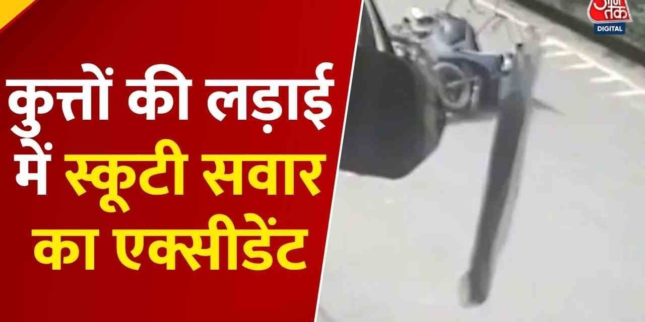 कुत्तों से टकराकर बुरी तरह घायल हुआ स्कूटी सवार, CCTV में कैद घटना