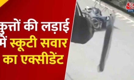 कुत्तों से टकराकर बुरी तरह घायल हुआ स्कूटी सवार, CCTV में कैद घटना