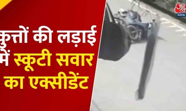 कुत्तों से टकराकर बुरी तरह घायल हुआ स्कूटी सवार, CCTV में कैद घटना