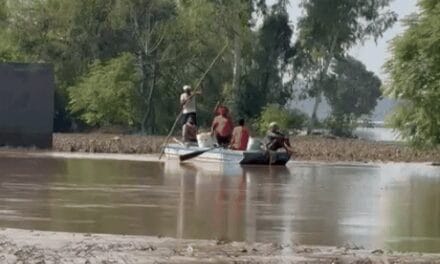 पंजाब में मौसम साफ, बारिश का अलर्ट नहीं:बाढ़ वाले क्षेत्रों में घटा पानी का लेवल; नुकसान का आकलन हो