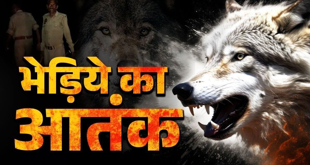 बहराइच में भेड़िए ने पति-पत्नी को मार डाला, क्षत-विक्षत मिली लाश, ग्रामीणों का गुस्सा फूटा