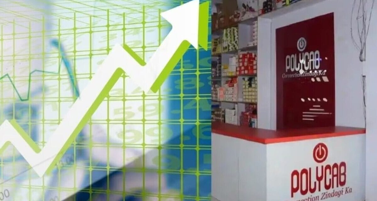 Polycab के शेयर ने आज बना दिया रिकॉर्ड, एक्सपर्ट ने कहा