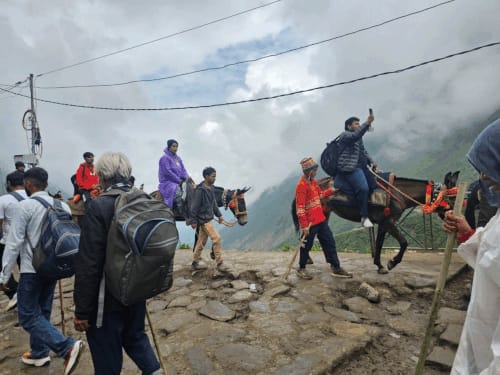 केदारनाथ में घोड़ा-खच्चरों से 91 करोड़ का कारोबार:प्रशासन को 4.71 करोड़ राजस्व मिला, 3 लाख से ज्यादा या