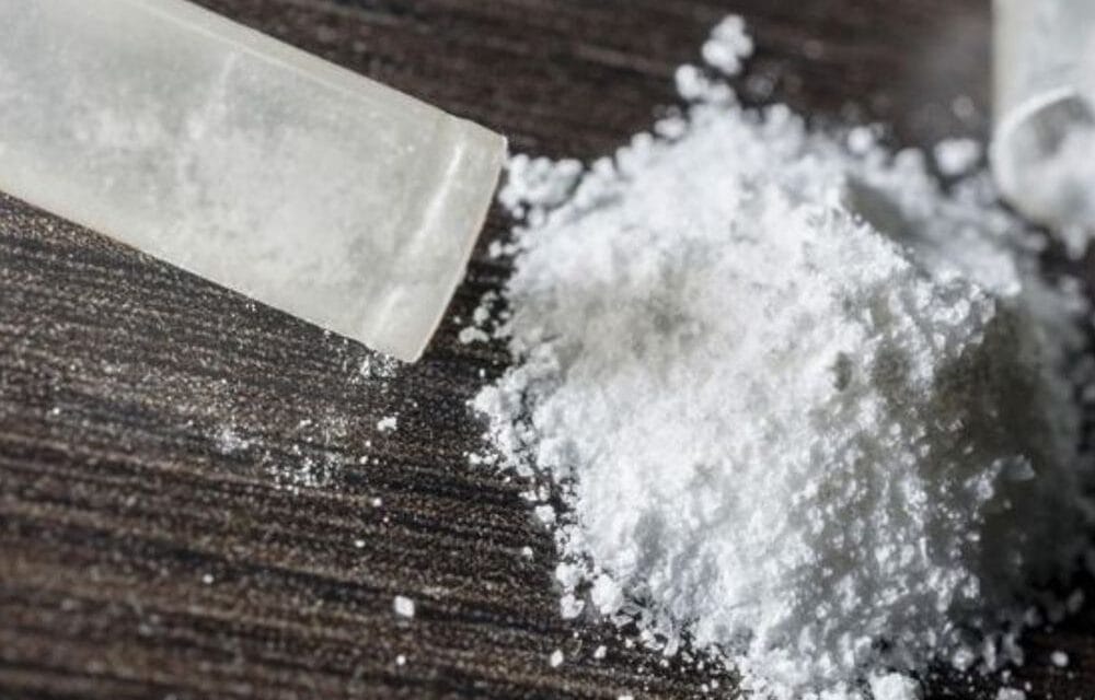 भास्कर अपडेट्स:मुंबई में ₹13.44 करोड़ की MD ड्रग फैक्ट्री पकड़ी, लापरवाही पर इंस्पेक्टर निलंबित