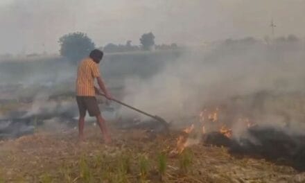तरनतारन में पराली जलाने के मामले में बड़ा एक्शन, 6 अधिकारियों पर चलाया जाएगा मुकदमा