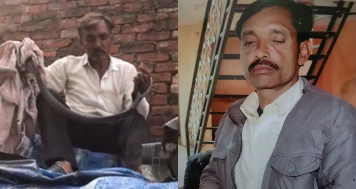 कोबरा को घर लाकर खेलता रहा किसान, जीभ समेत कई जगह डसा, Video