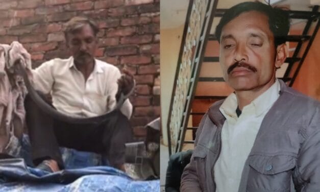 कोबरा को घर लाकर खेलता रहा किसान, जीभ समेत कई जगह डसा, Video