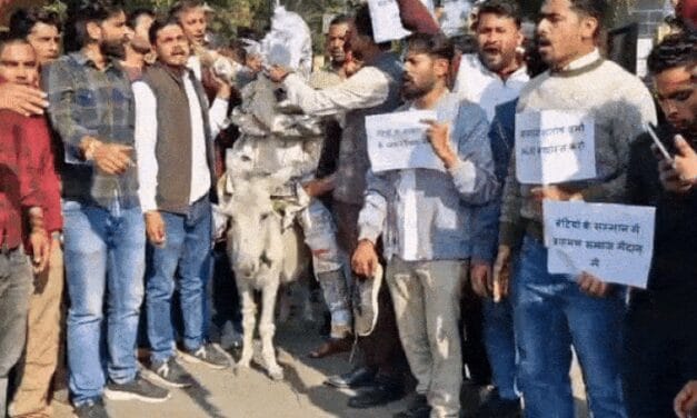 Gen-Z ने आईएएस के पुतले को गधे पर घुमाया:ब्राह्मण बेटियों पर संतोष वर्मा के बयान को लेकर विरोध प्रदर्शन, पुतले को जूते-चप्पलों से पीटा