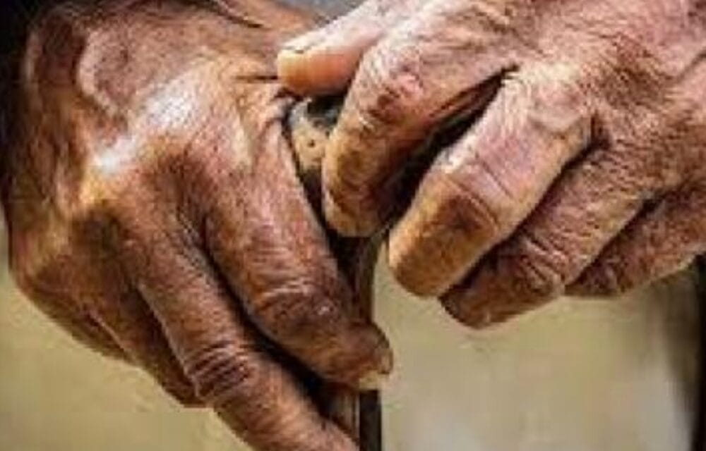 2036 तक 7 में से 1 भारतीय सीनियर सिटीजन होगा:केंद्र बोला