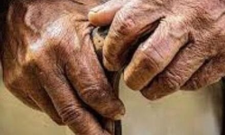 2036 तक 7 में से 1 भारतीय सीनियर सिटीजन होगा:केंद्र बोला