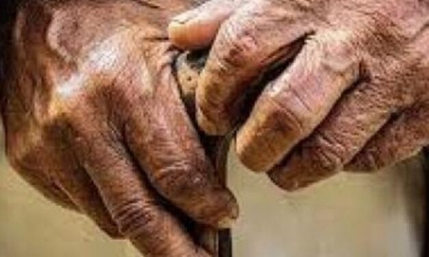 2036 तक 7 में से 1 भारतीय सीनियर सिटीजन होगा:केंद्र बोला