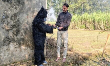 खेतों में भालू के कपड़े पहनकर घूम रहे किसान, जानें क्या है पूरा माजरा