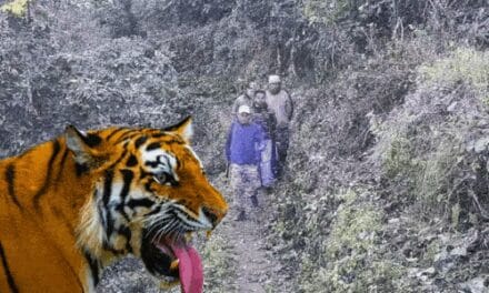 वन विभाग के लिए सीएम धामी के निर्देश मानना असंभव:अधिकारी बोले