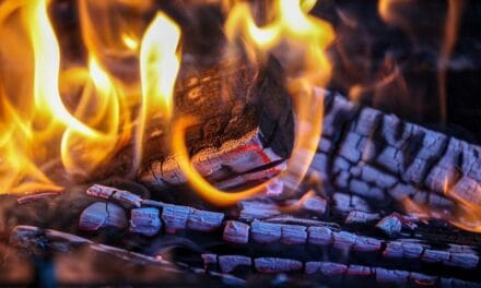 सावधान! 'साइलेंट किलर' है घर में लकड़ी या कोयला जलाना! ये हैं सस्ते रूम हीटर