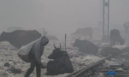 दिल्ली-NCR में आउटडोर गेम्स पर रोक, AQI 497 पर पहुंचा:डॉक्टर बोले– बाहर कम निकलें, हल्के मास्क पहनें; CQAM ने बढ़ाई सख्ती