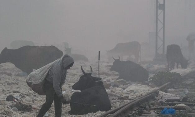 दिल्ली-NCR में आउटडोर गेम्स पर रोक, AQI 497 पर पहुंचा:डॉक्टर बोले– बाहर कम निकलें, हल्के मास्क पहनें; CQAM ने बढ़ाई सख्ती